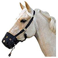 Bozal Cesta Anticólico negro caballo